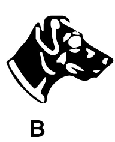 Hundekopf B