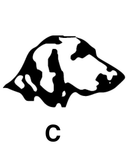 Hundekopf C
