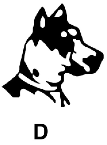 Hundekopf D