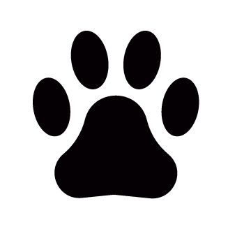 pfote hundesteuermarke