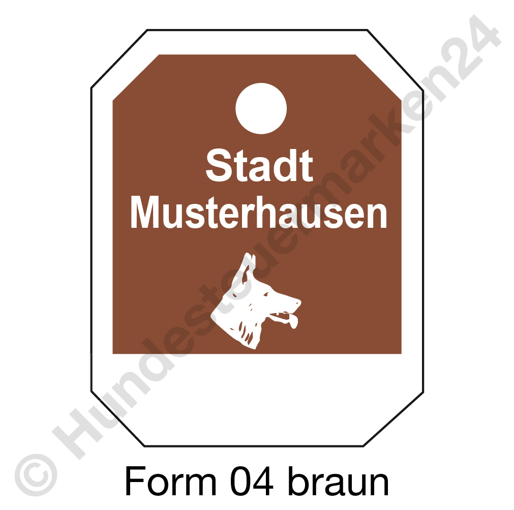 form04 braun