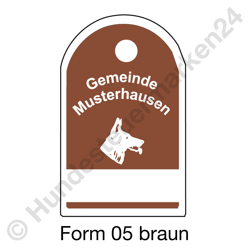 form05 braun