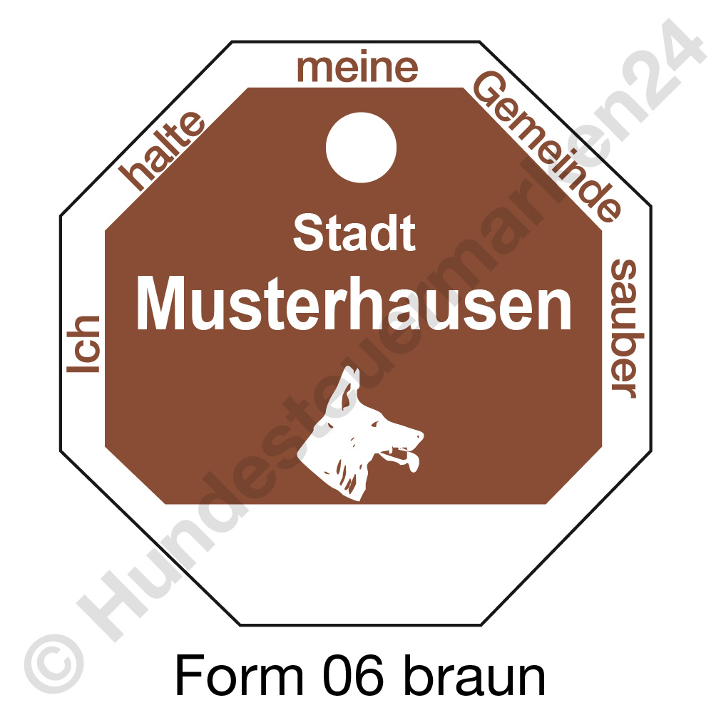 form06 braun