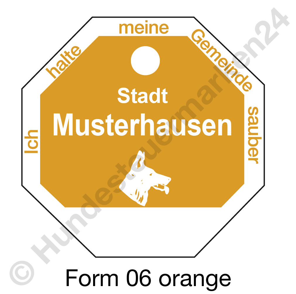 form06 orange