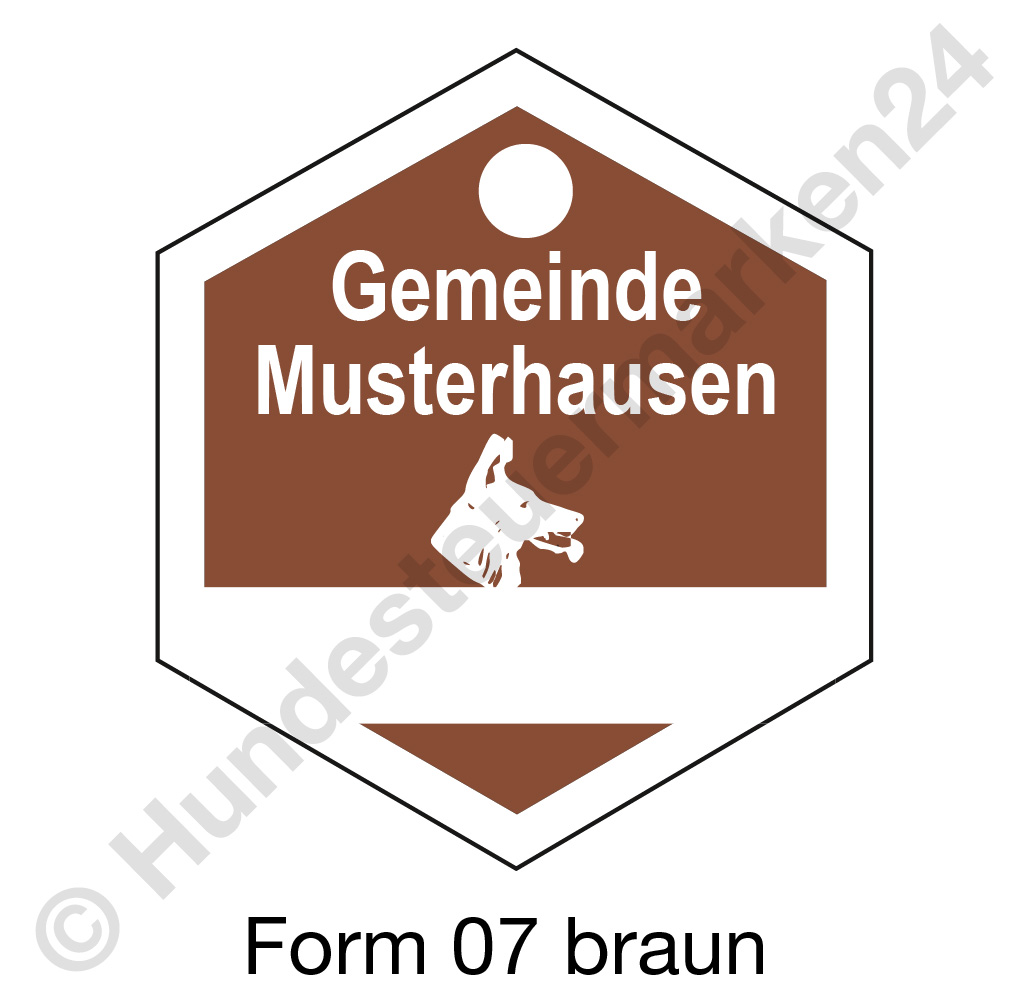 form07 braun