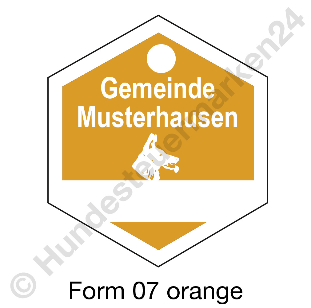form07 orange