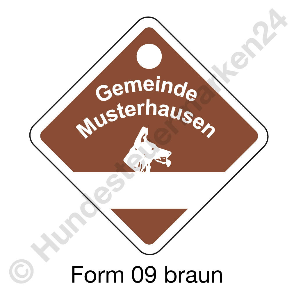 form09 braun