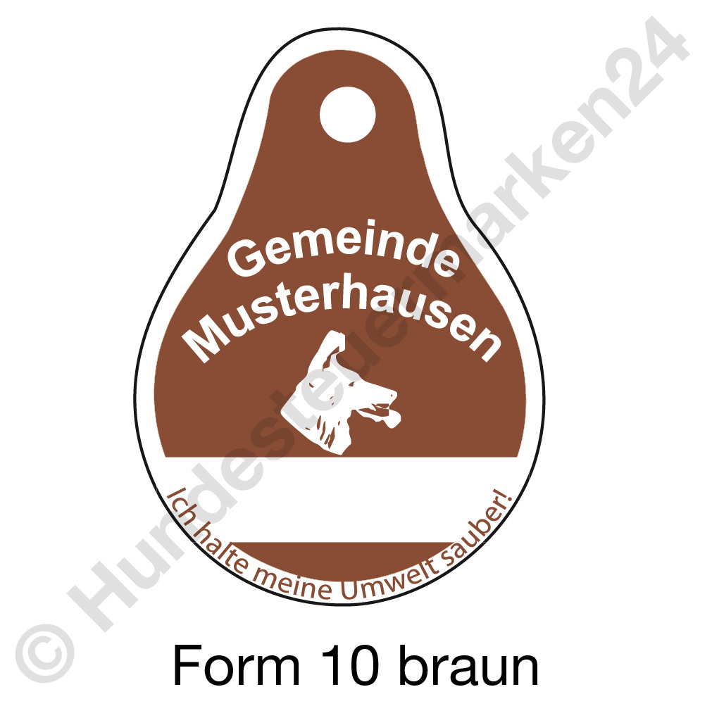 form10 braun