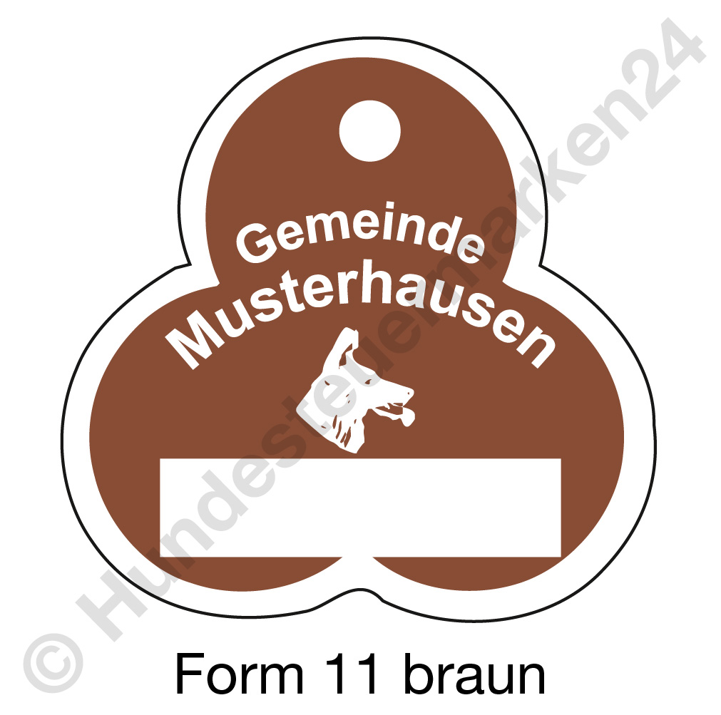 form11 braun