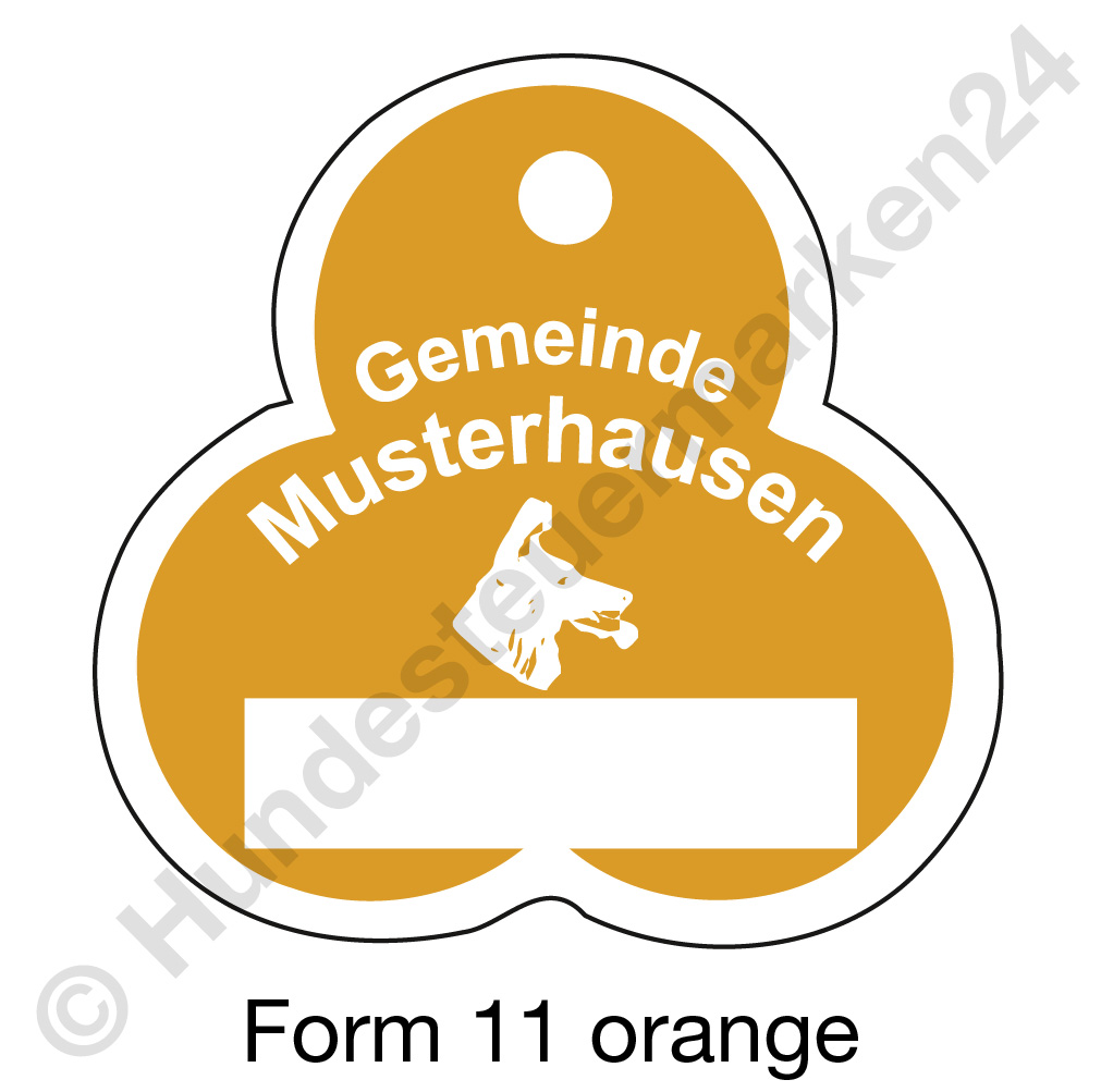 form11 orange