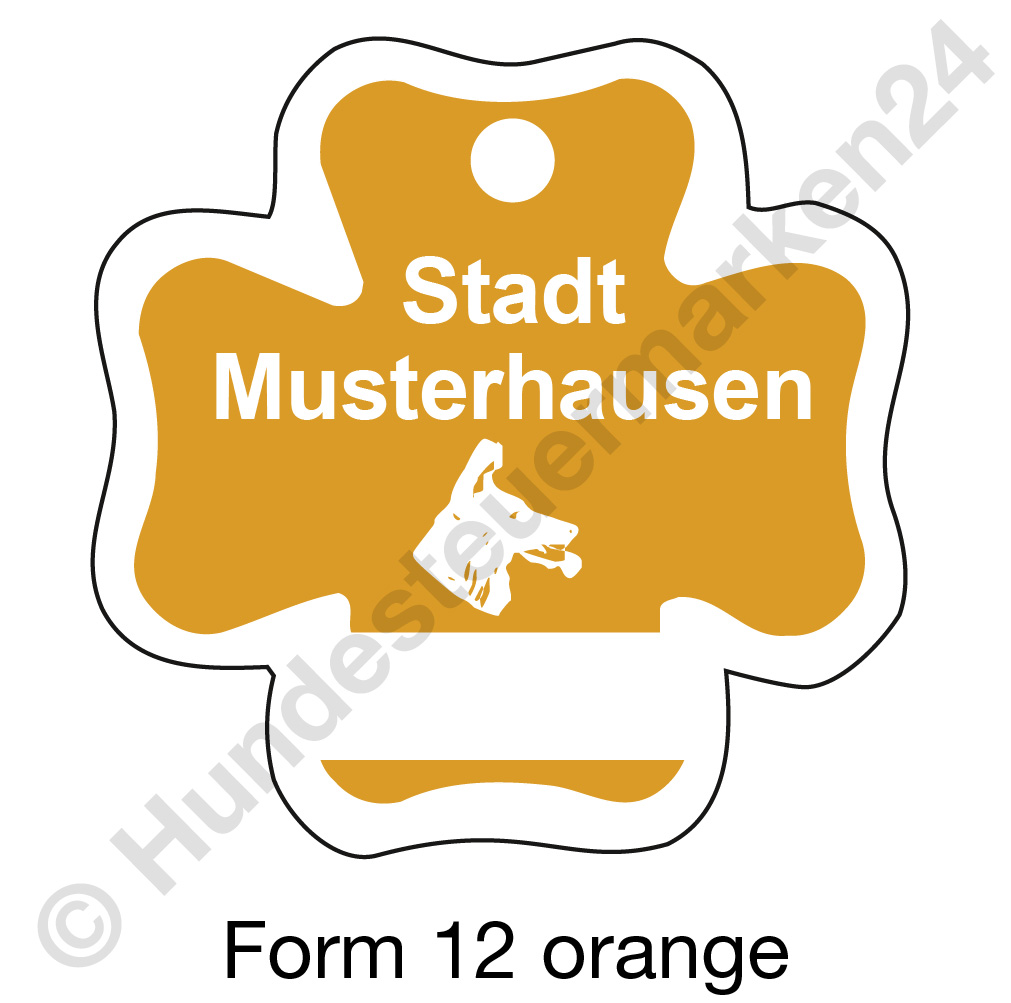 form12 orange