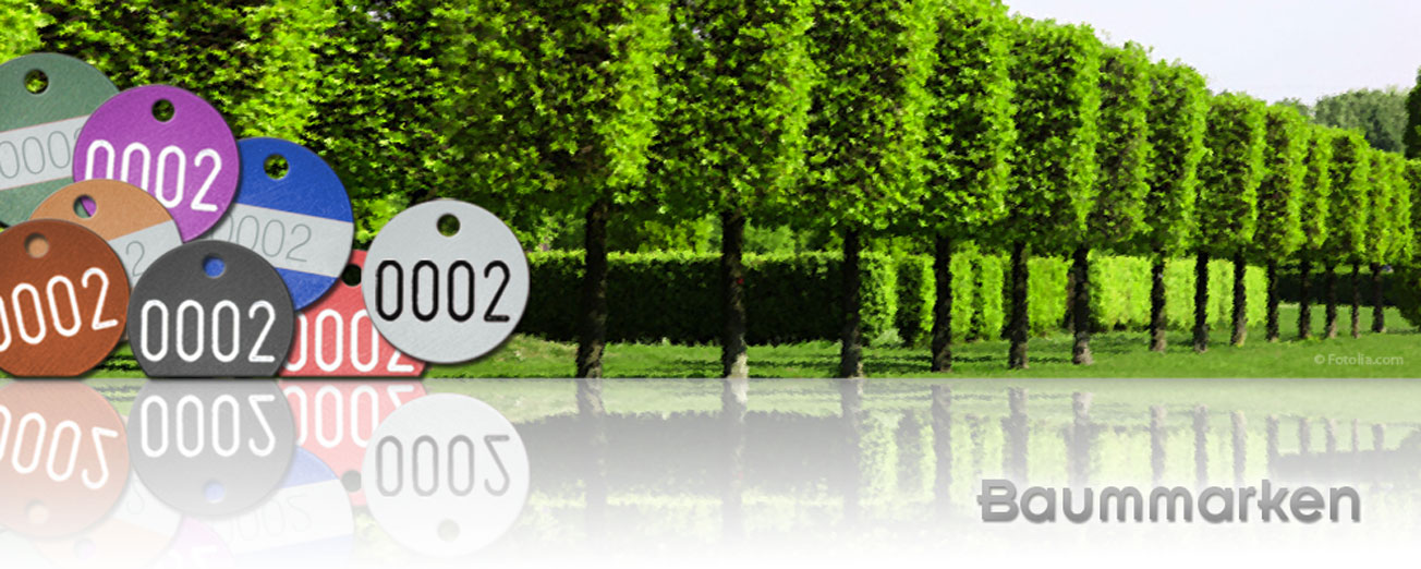 baummarken slider 2024